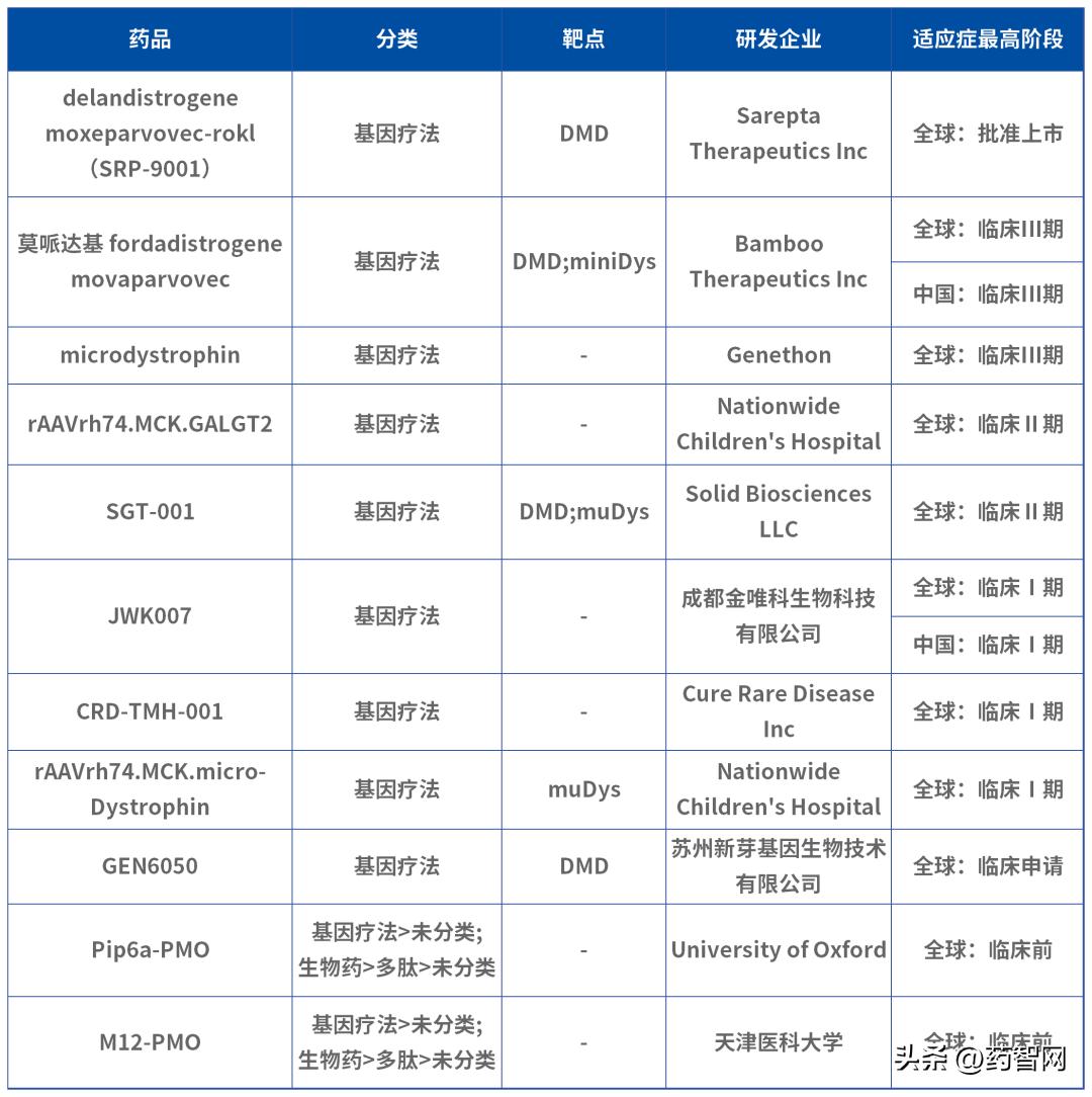 未来10年dmd基因治疗技术,dmd45号跳跃药能达到什么效果
