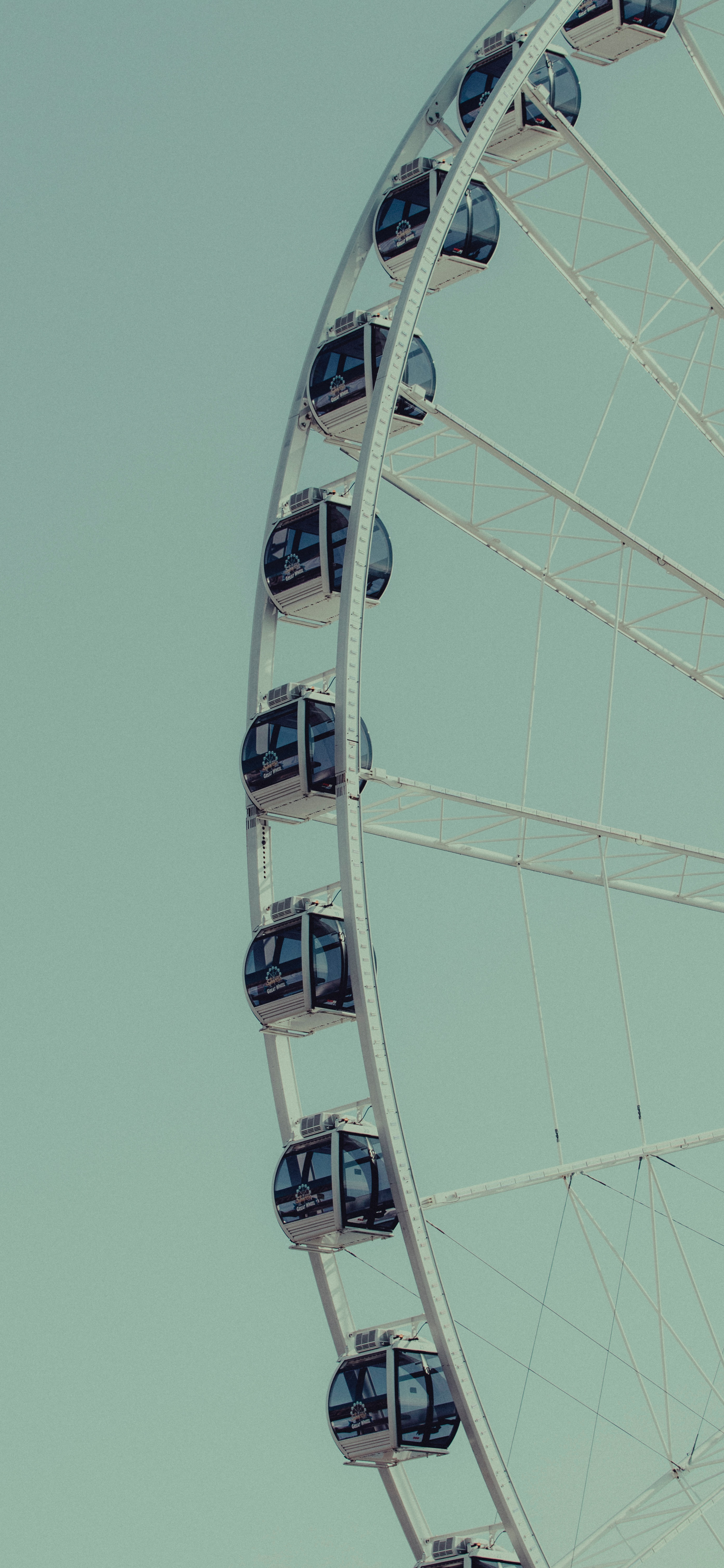 超治愈又好看的手机壁纸,推荐超好看的手机壁纸