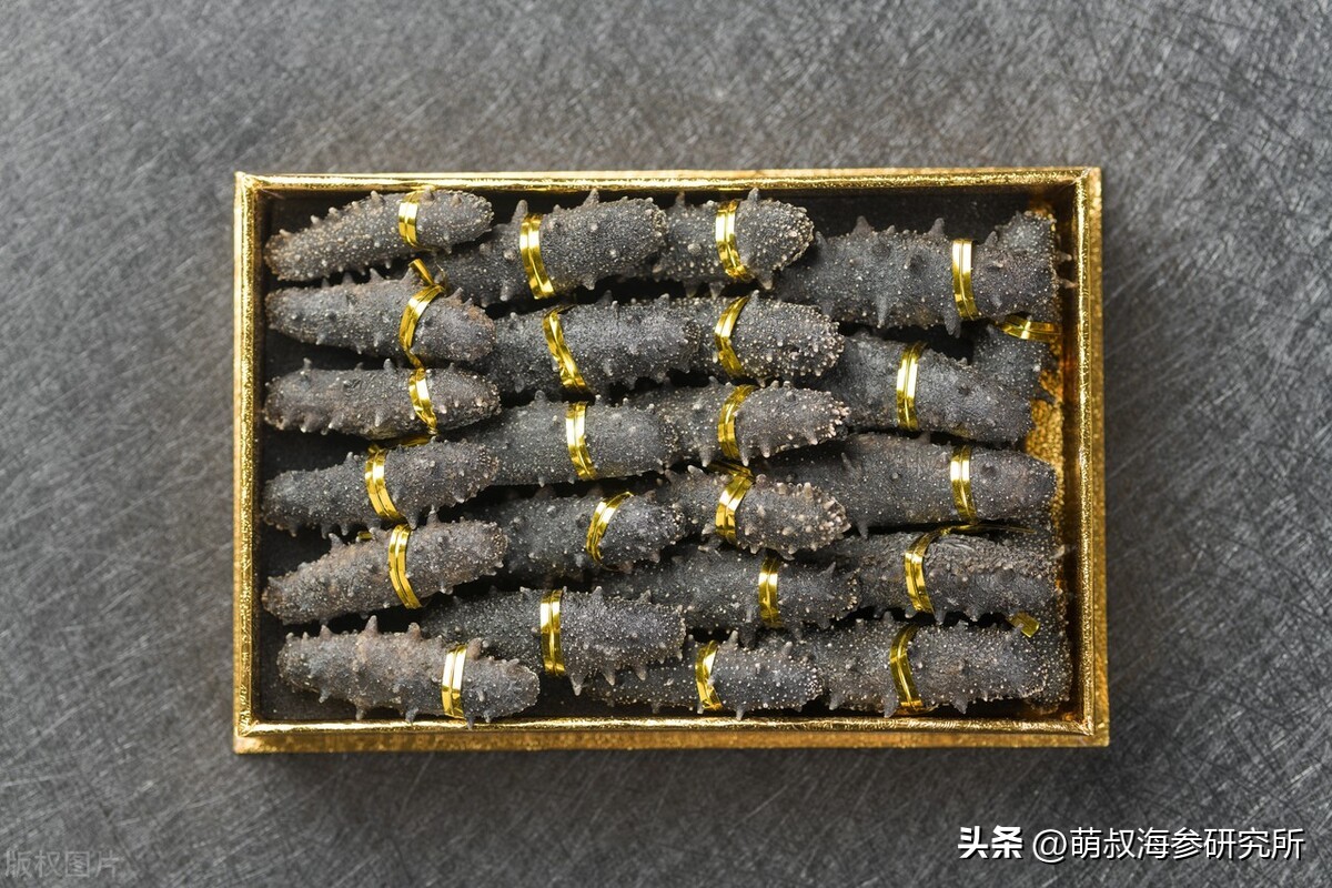 如何加工成即食海参,海参如何加工成干海参