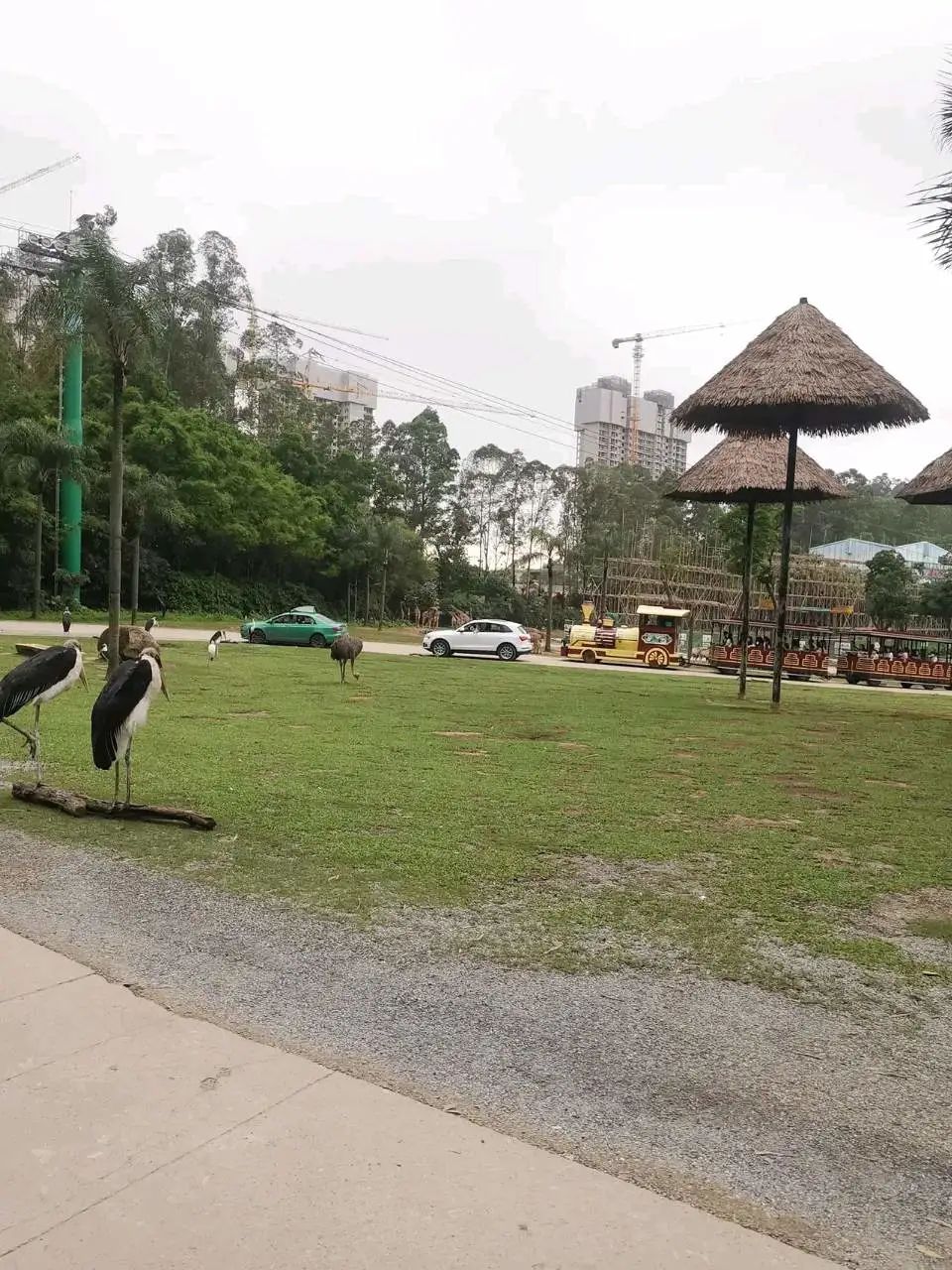 六刷广州长隆野生动物世界，強烈推荐-广州必游地（内含攻略）