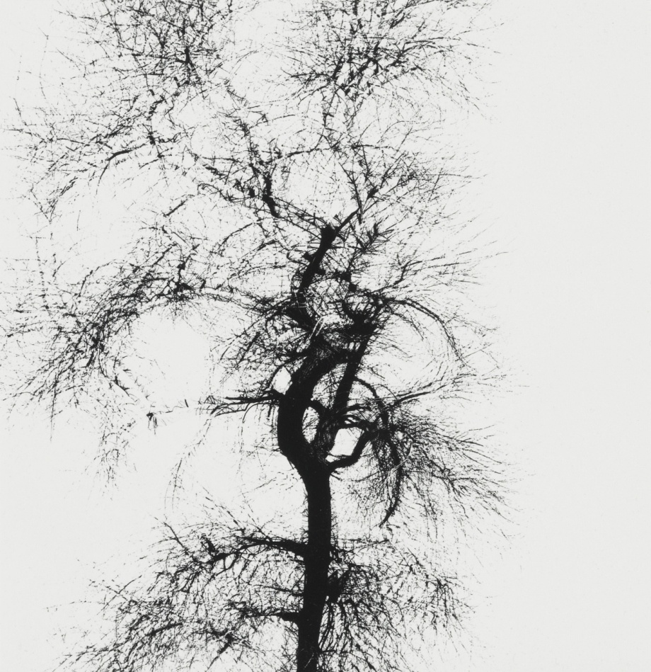 哈里卡拉汉摄影作品,哈里卡拉汉摄影