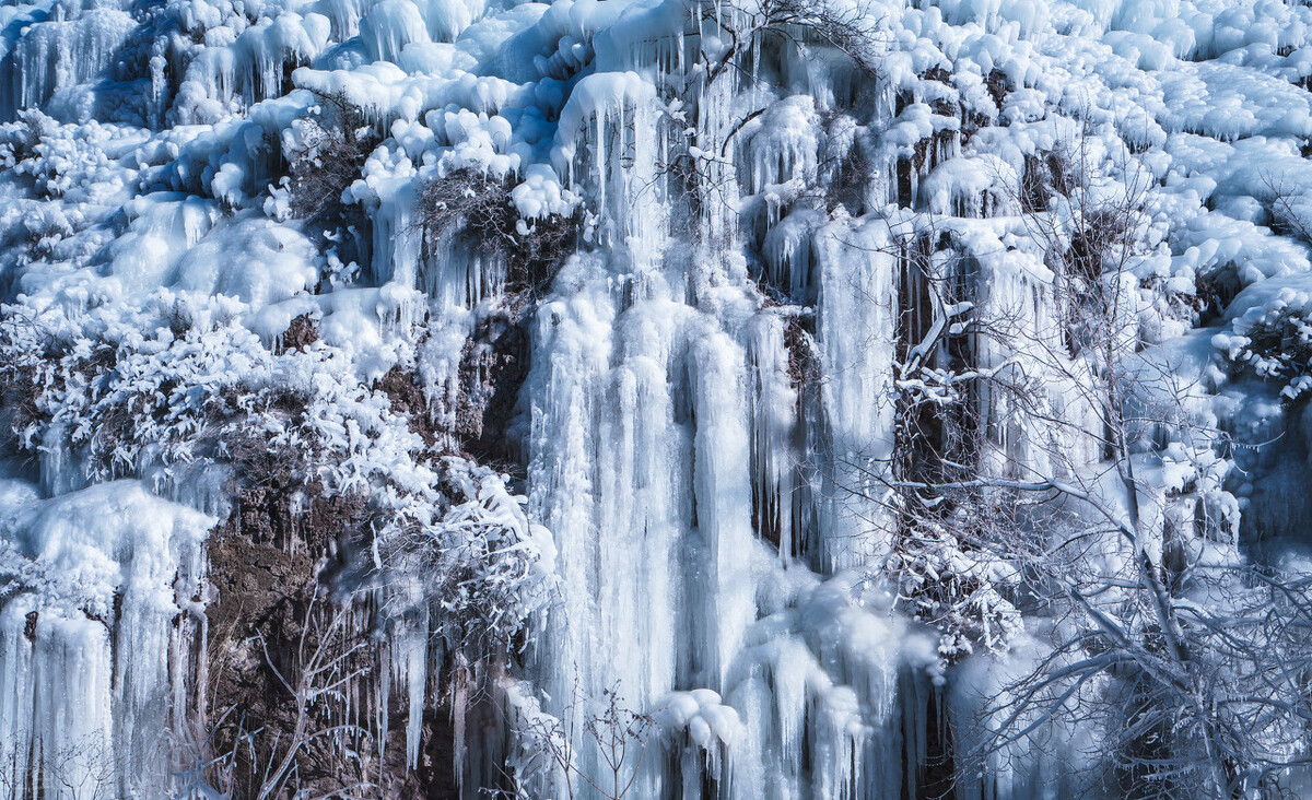 尿常规化验单指标不正常,尿常规化验单怎么看细菌