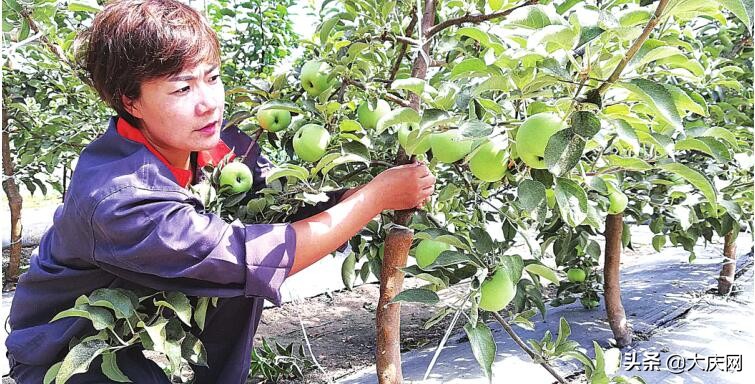 致敬她力量各行各业人物事迹,致敬巾帼她力量朗诵