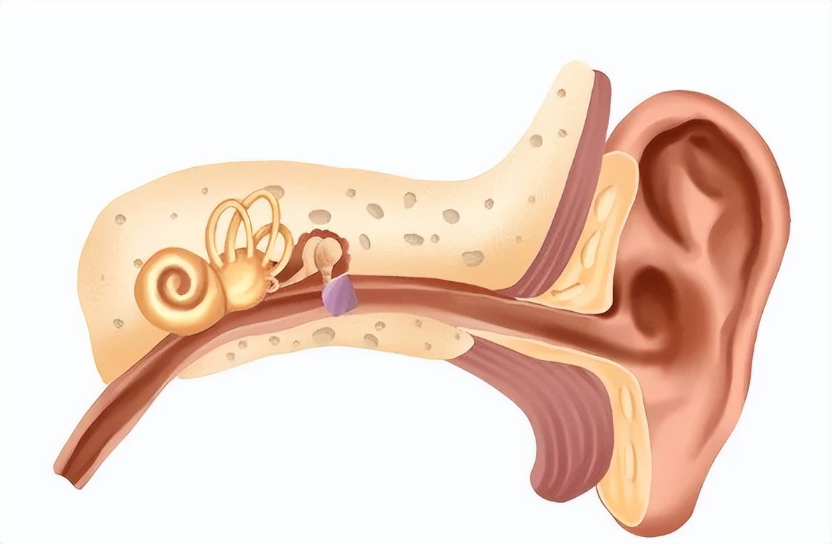 去水上乐园会感染霉菌吗,去水上乐园会感染妇科疾病么