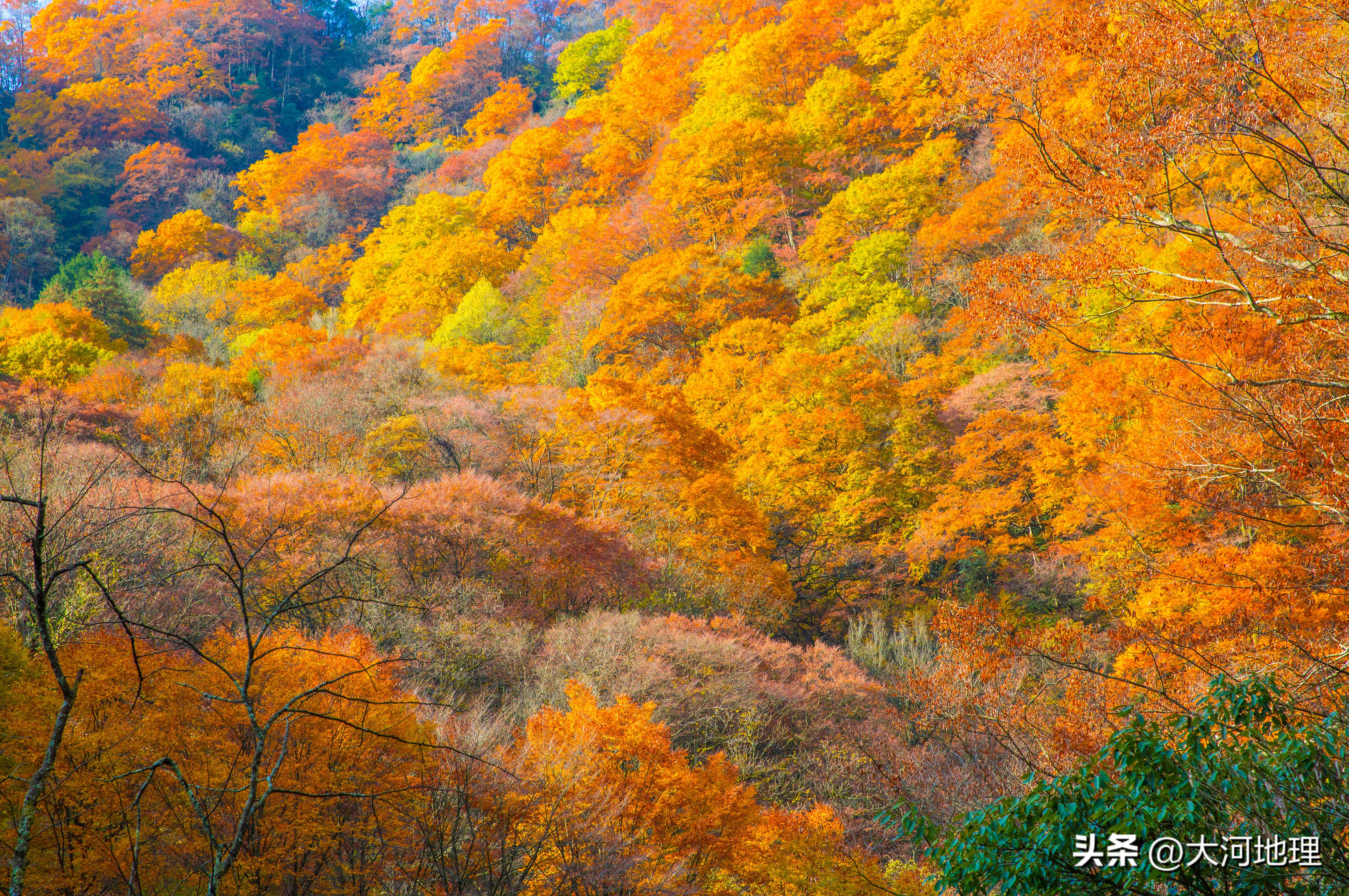 旅游攻略国内十大必去景点南方,中国南方著名景点
