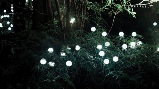 分享美景行走山水间,分享夜晚美景记录生活