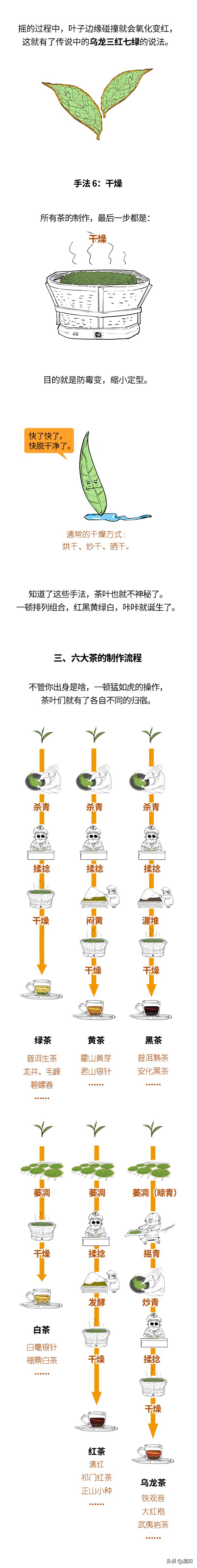 不懂茶的小白如何避坑选茶,茶小白速看新手买茶的八条铁律