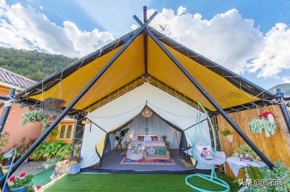 养孔雀一年能挣多少钱,我靠养殖发家致富