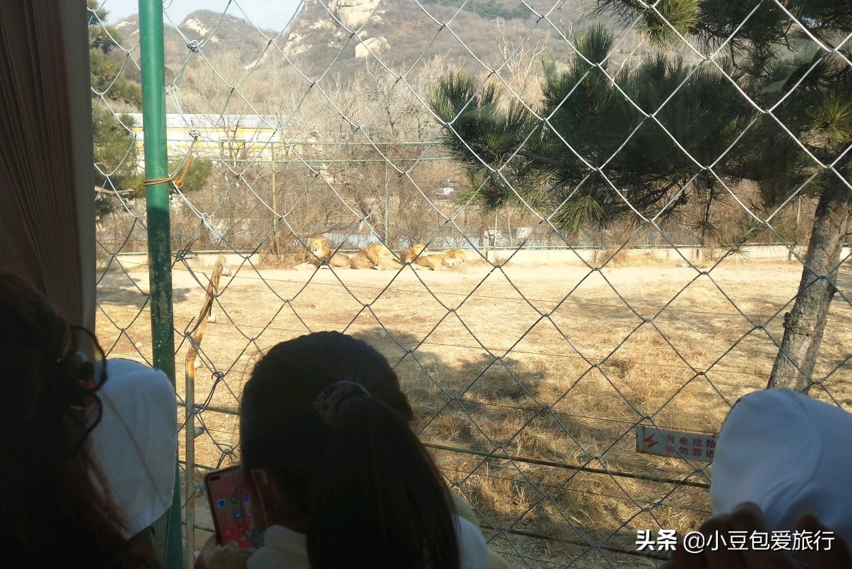 八达岭北京野生动物园推荐,两个人花100块钱能在北京玩多少