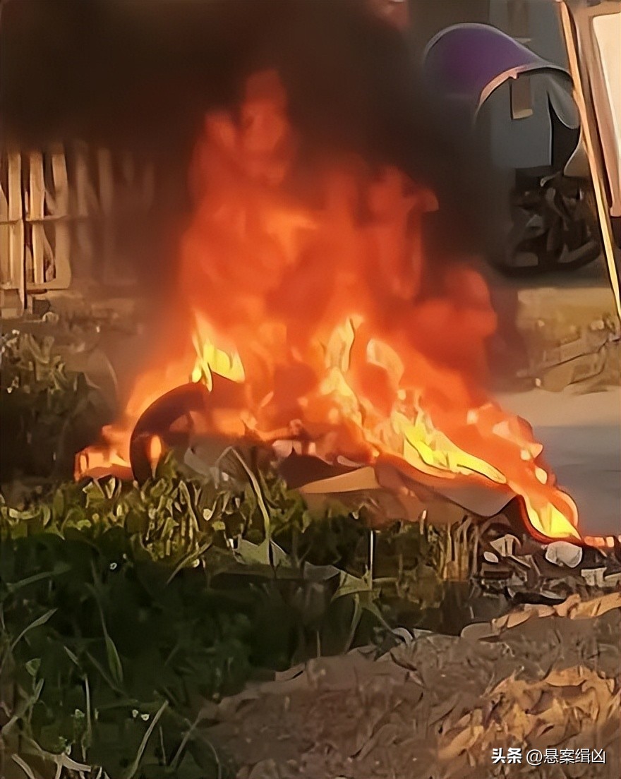 跆拳道杀人事件,新加坡跆拳道黑带女被害