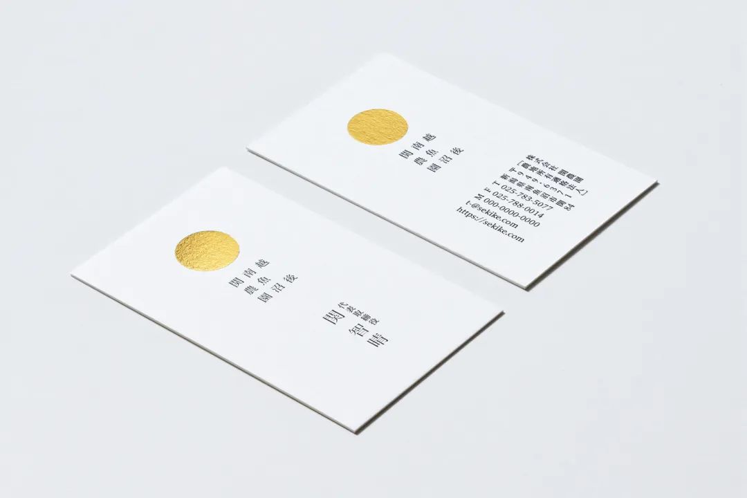 闀囨睙澶х背鍖呰璁捐,澶х背鍖呰璁捐娴欐睙