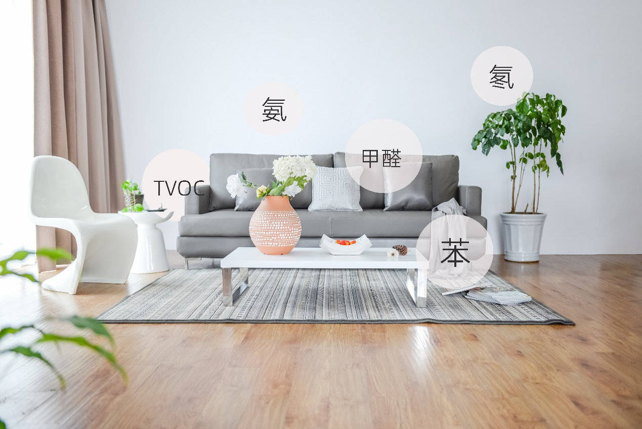 正规除甲醛十大品牌,光触媒除甲醛品牌十大排行榜