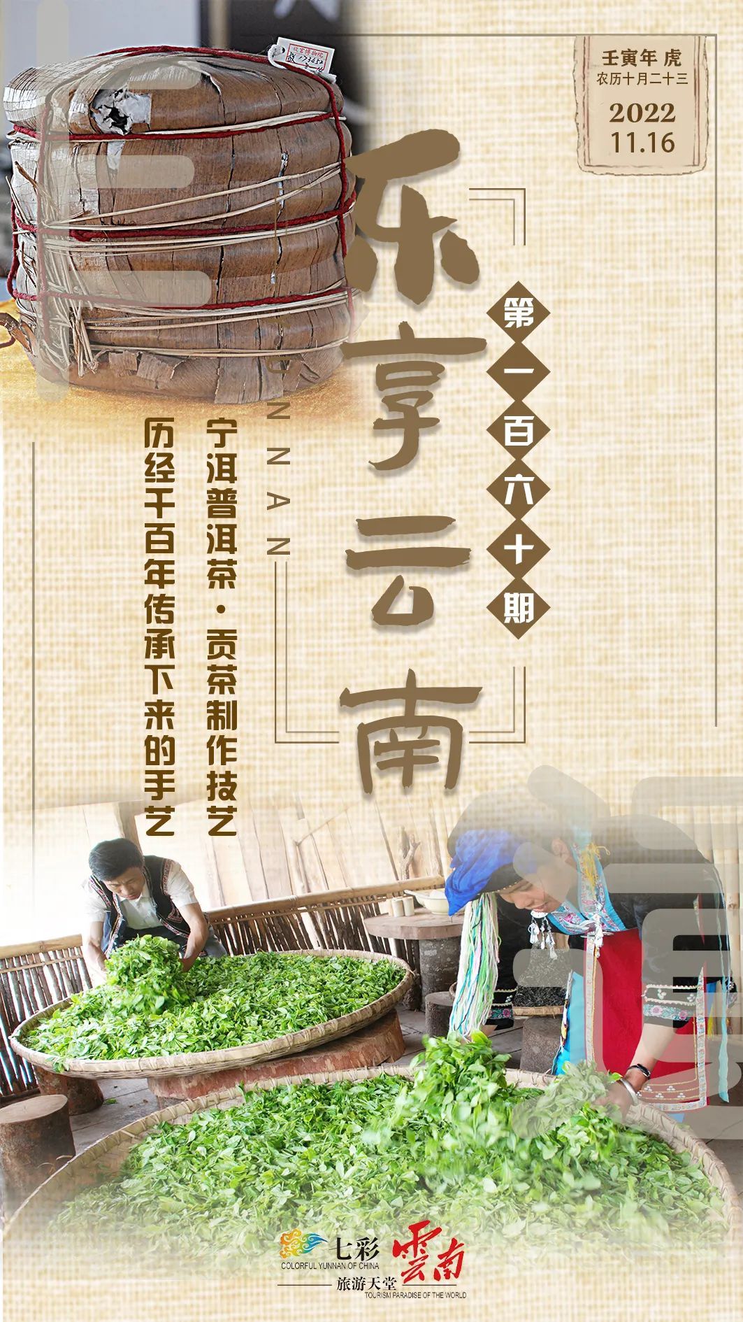 普洱茶贡茶的制作工艺,宁洱普洱茶制作工艺