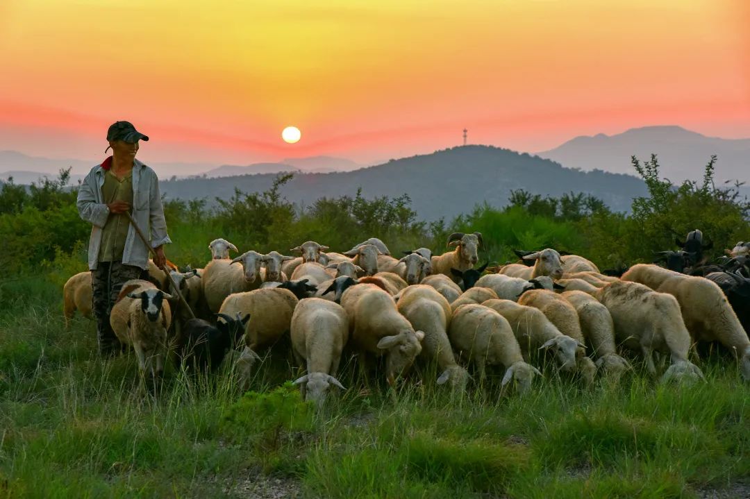 迎接党的20大美术作品,喜迎二十大乡村摄影展