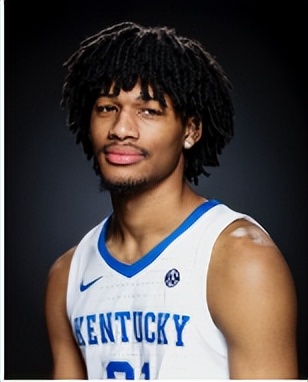 雪山观察石碑任务,雪山观察任务