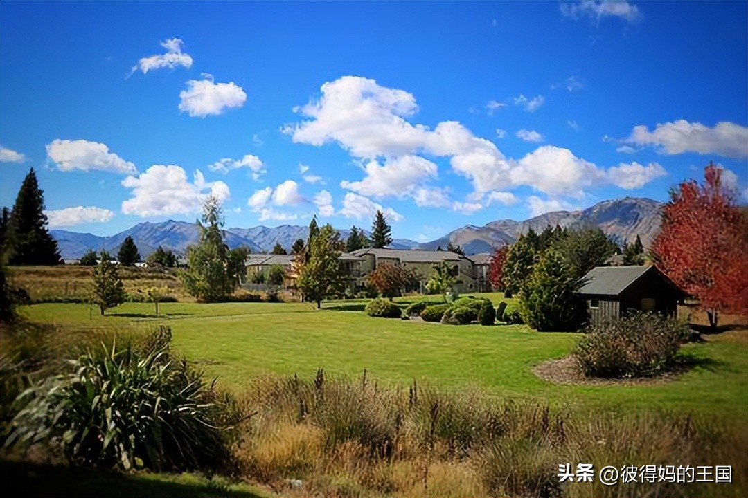 哥伦布发现新大陆是新西兰吗,新西兰悲伤背后的真相