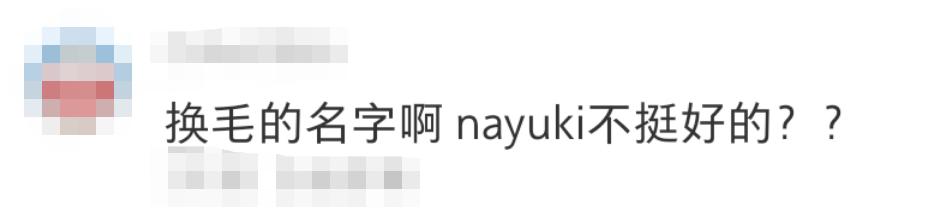 奈雪改中文,奈雪的茶改名