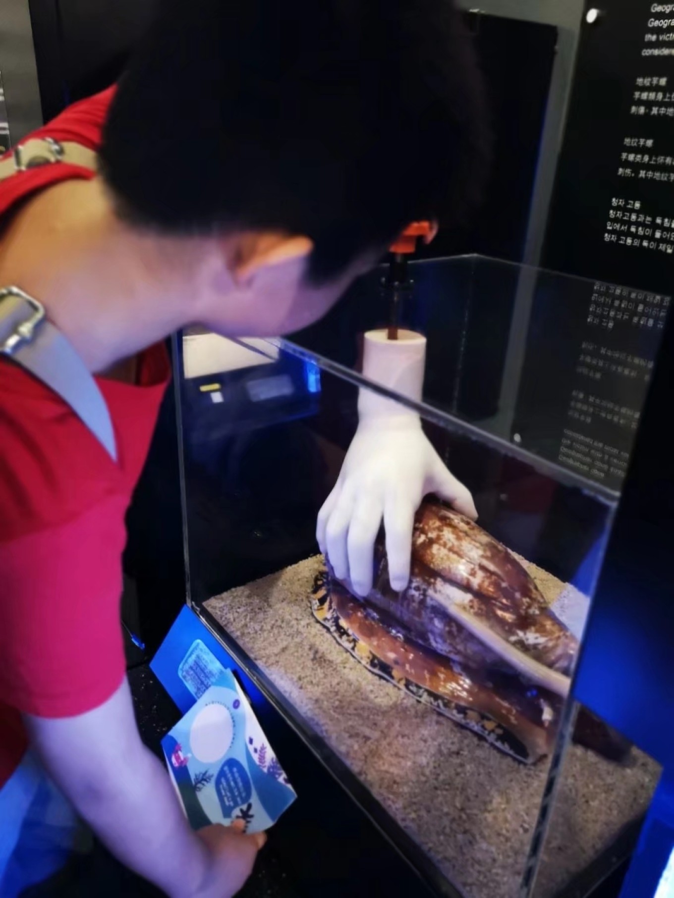 暑期档2019年,2019年暑期档