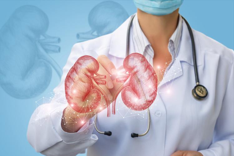 蒲公英八大养生好处,蒲公英用药禁忌