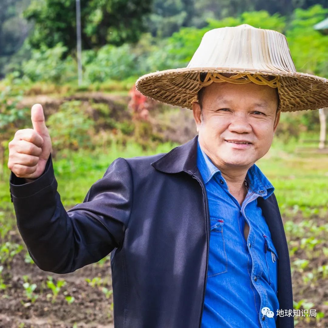 泰国米，从小吃到大|地球知识局