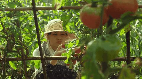 豆瓣9.0，日本乡间简素的一餐一饭，治好了无数人的“精神内耗”