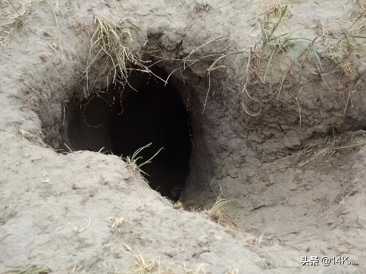 鏂扮枂璇′簨褰曞ぉ灞辩瘒13,鏂扮枂璇′簨褰曞ぉ灞辩瘒10