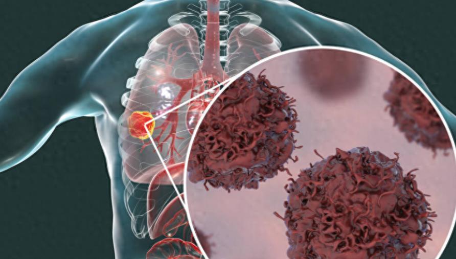 女子与狗狗共享生活，医院检查揭示令人惊讶的结果