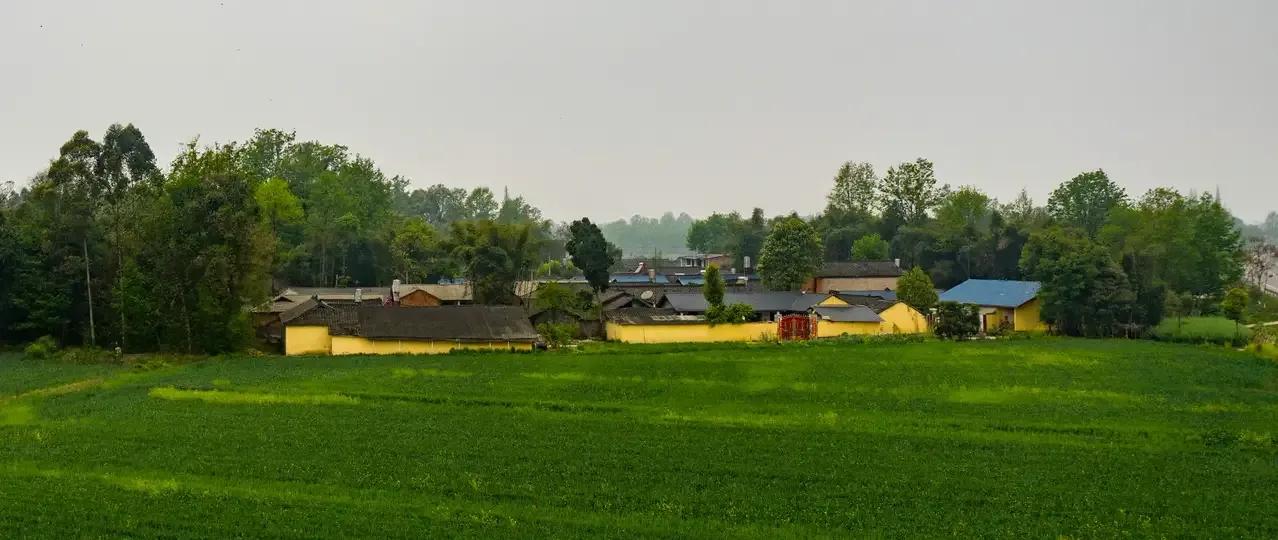 成都人性格有什么特点,成都人的性格和西安接近