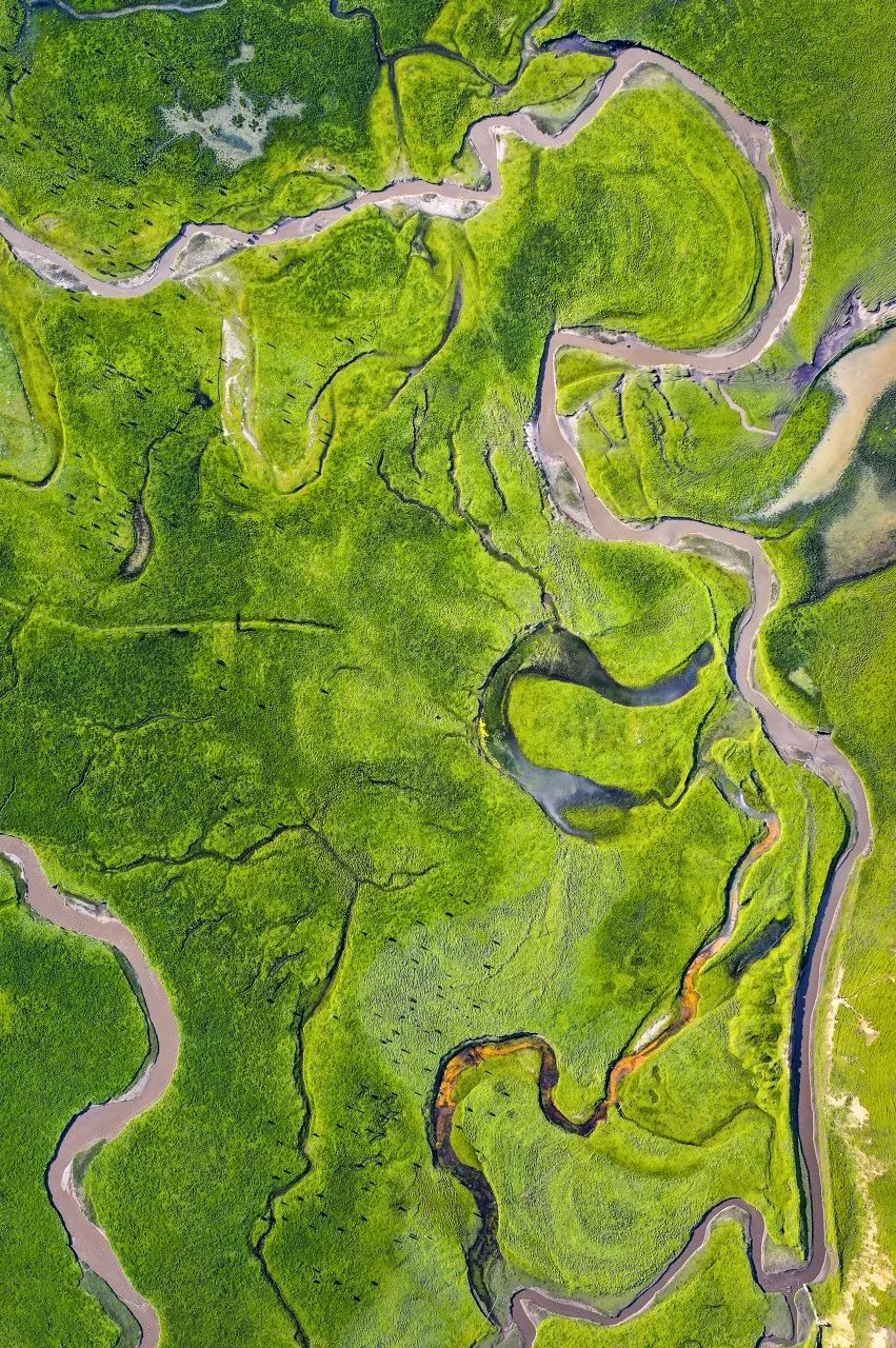 都去挤*疆新**？我选这个20°C的西北秘境