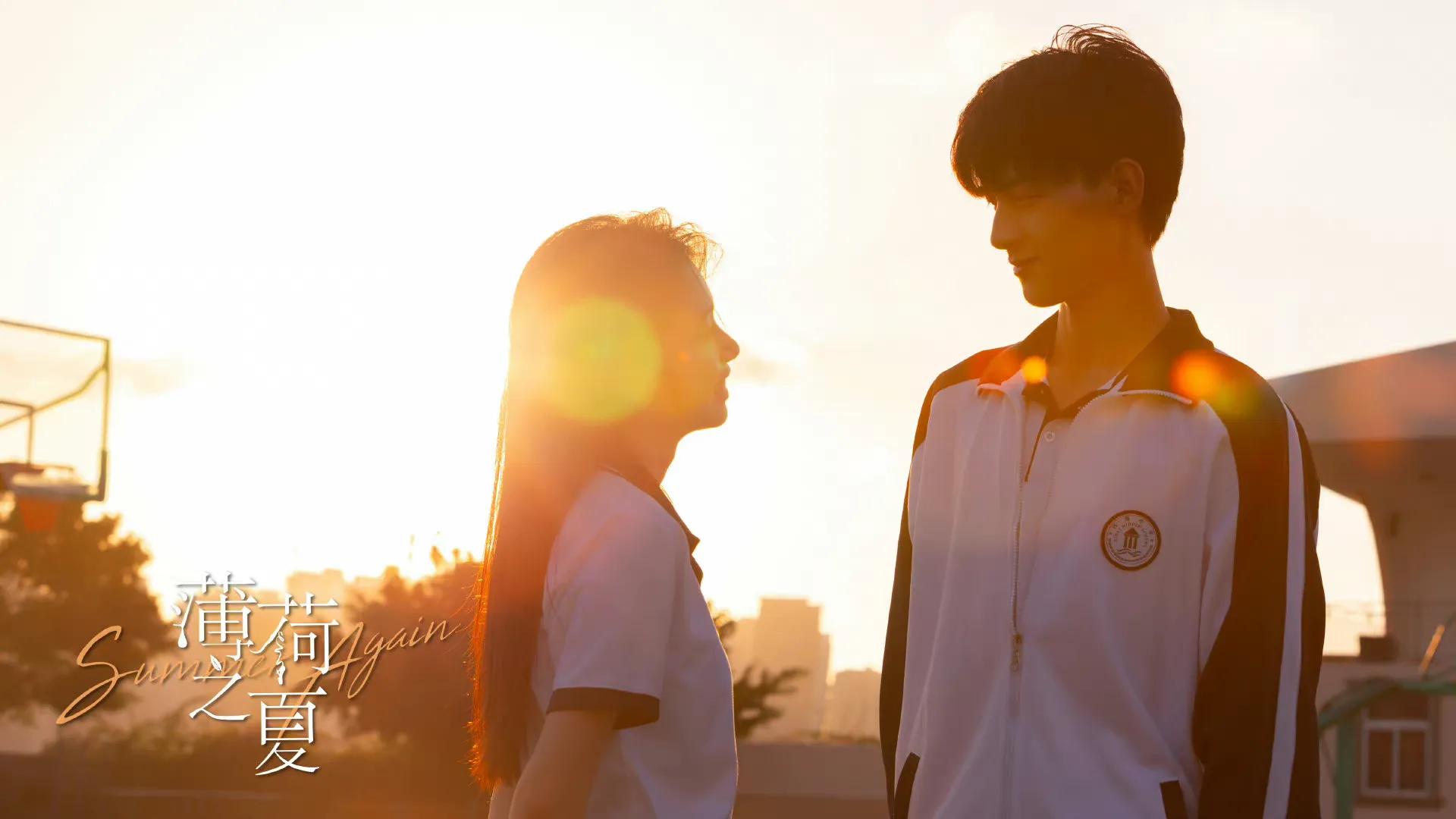 暑假必追甜剧大全,暑假值得追的甜剧