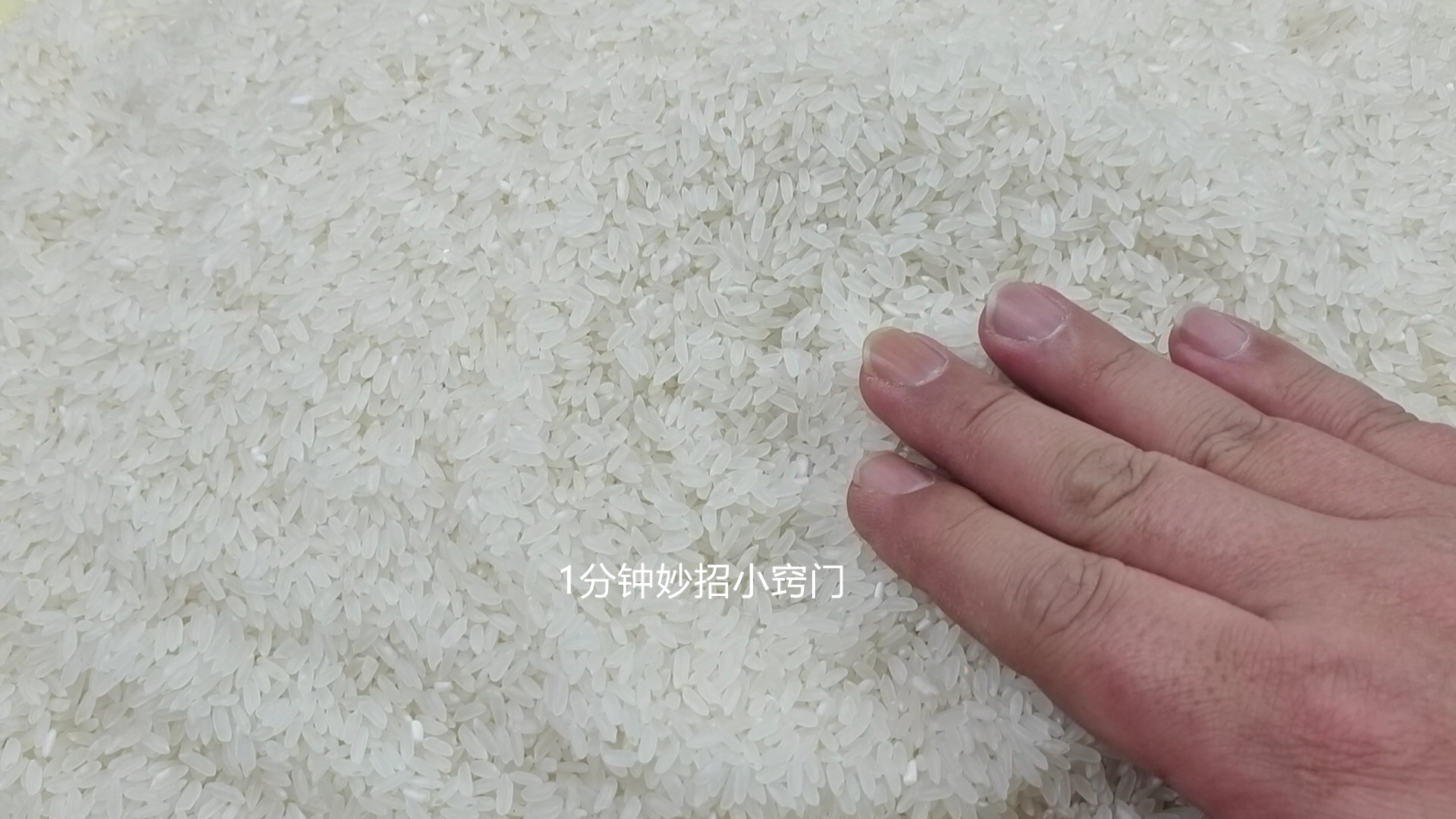 已经长虫的大米怎么赶走米虫,大米长虫不要晒教你一招