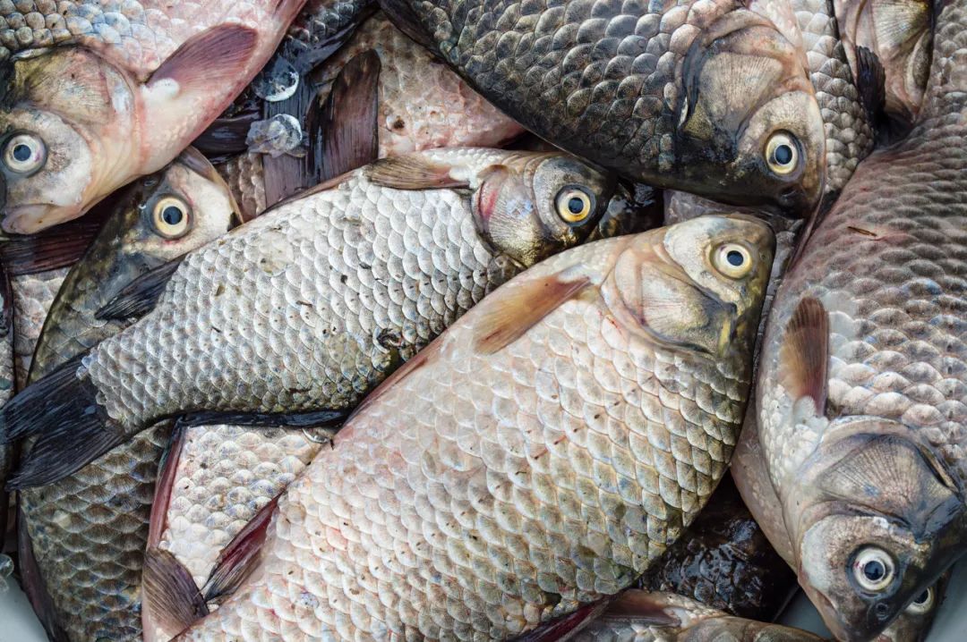 谣言粉碎机上的视频,谣言粉碎机事件