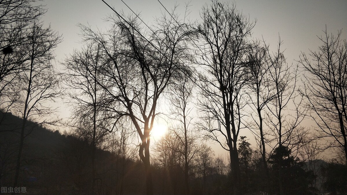 马致远个人简介,马致远简历