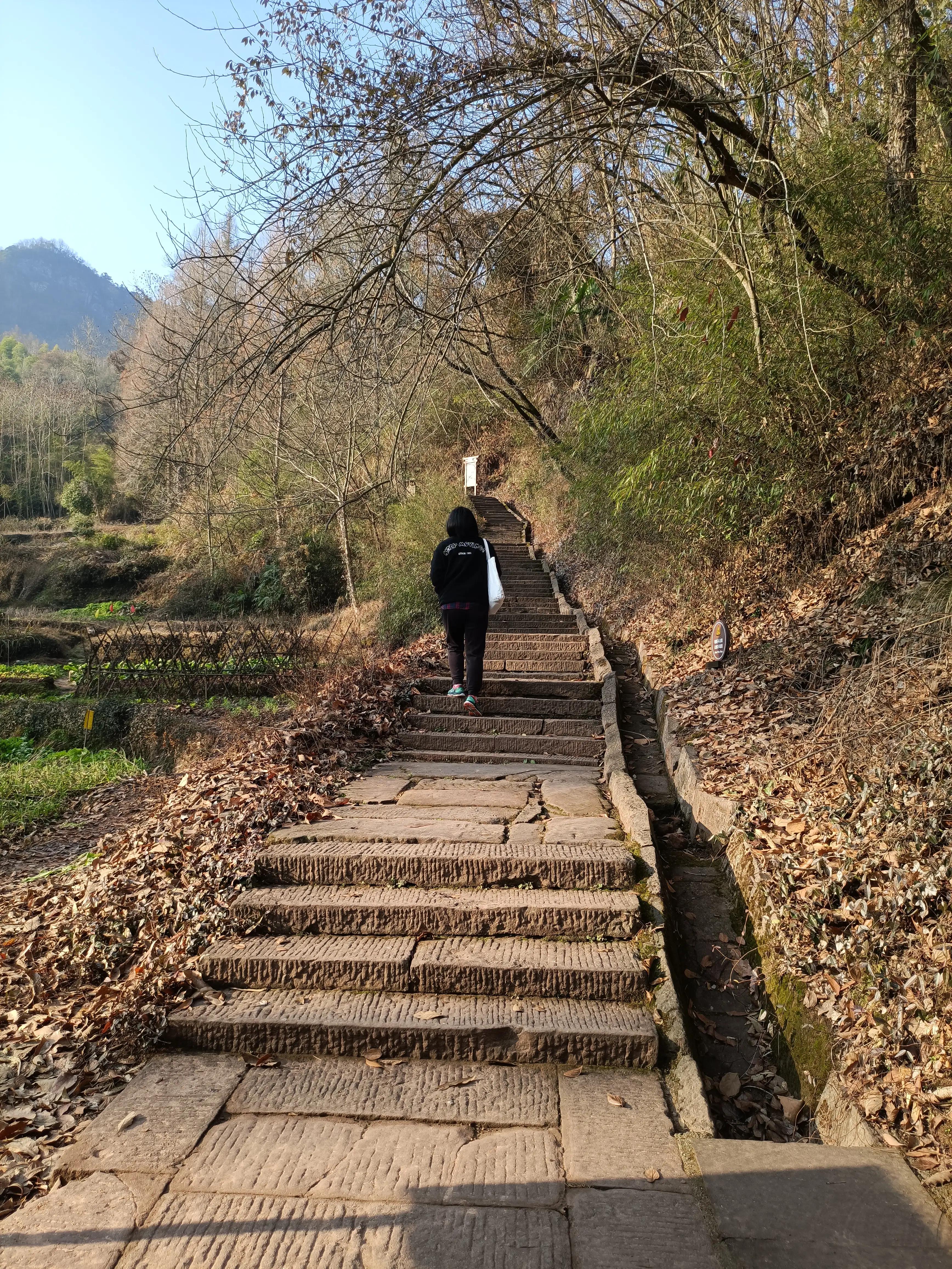 齐云山步行上山快速游览半天路线,齐云山步行上山路线图