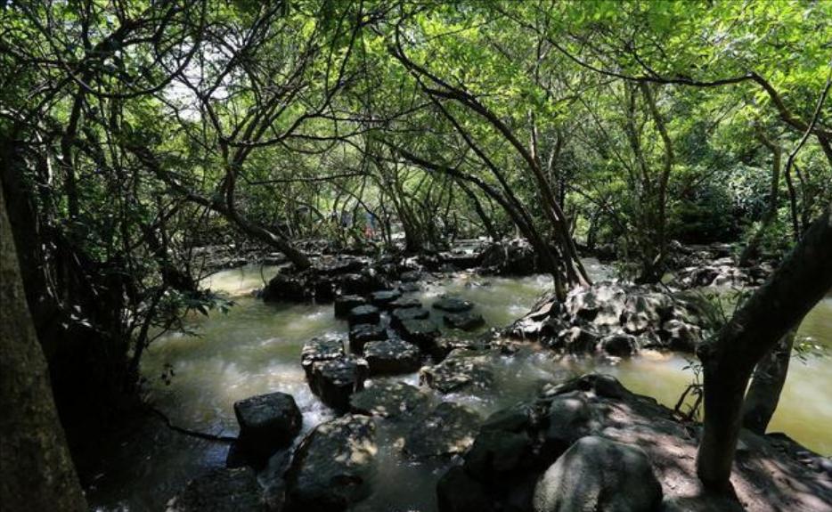 2米以上的蛇蜕皮,发现蟒蛇蜕皮