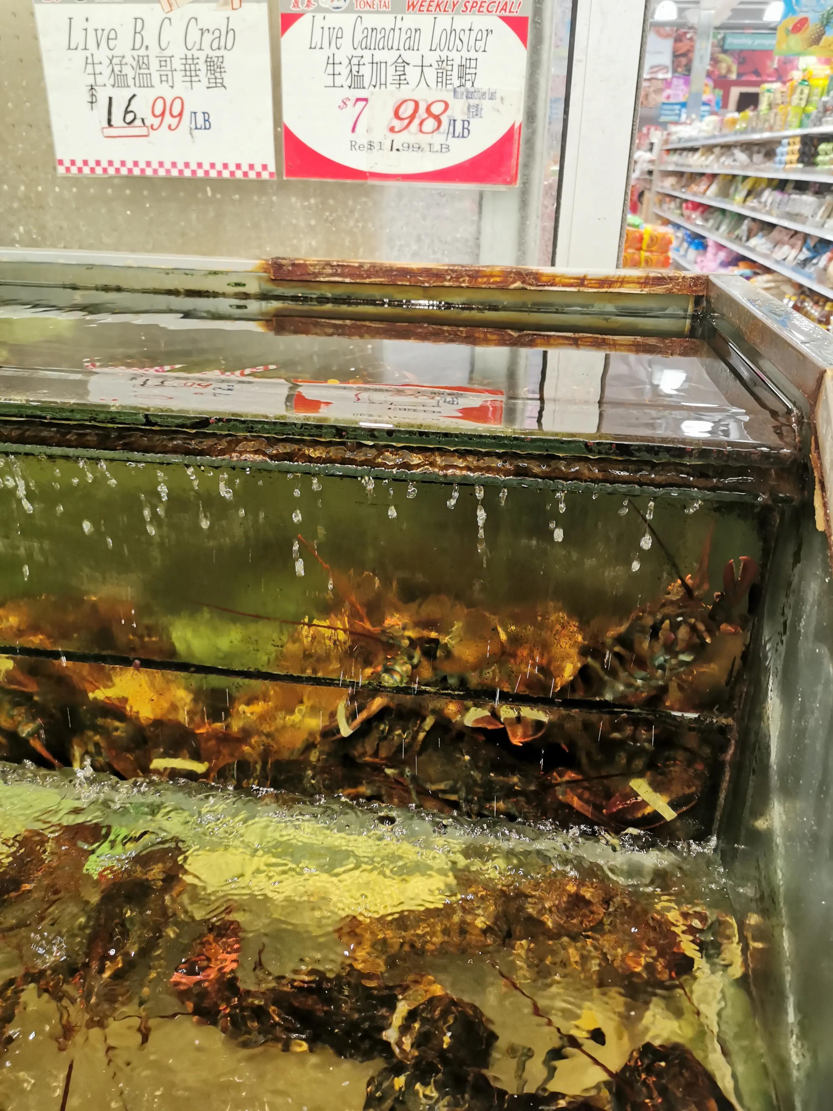 加拿大超市购物必买,加拿大购物付款