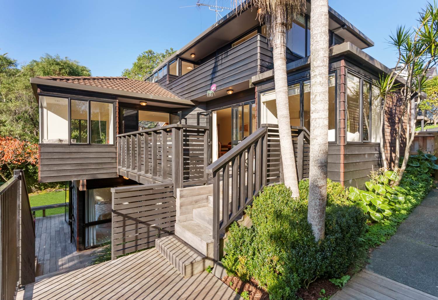 纽村照片,纽村的环境有多好