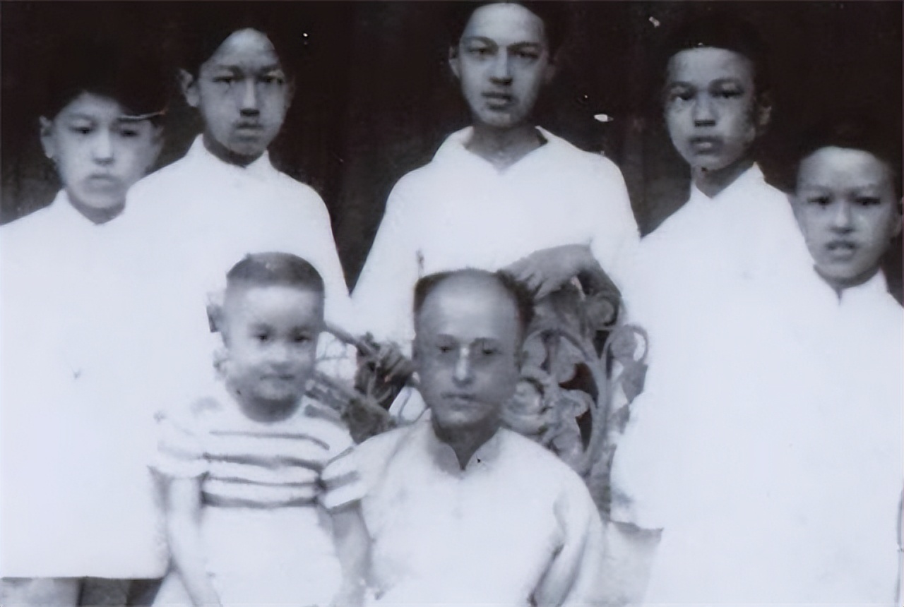 陆英九个子女的结局,陆英出嫁的视频