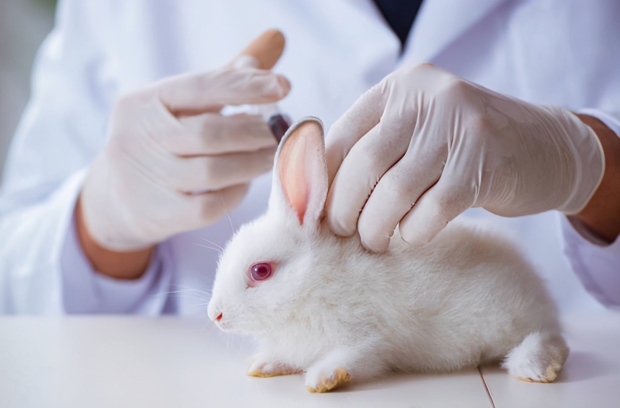 球虫药兔子专用,养兔的药从哪里买