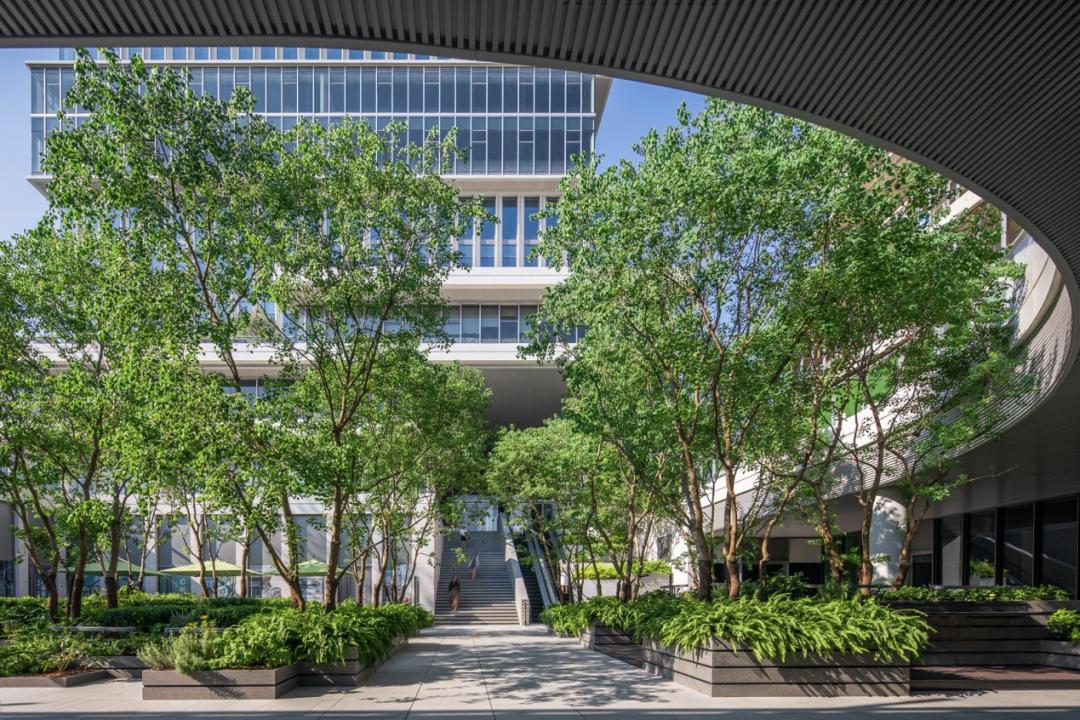 天空·藤集实践的「公园商业」，正在杭州率先破圈