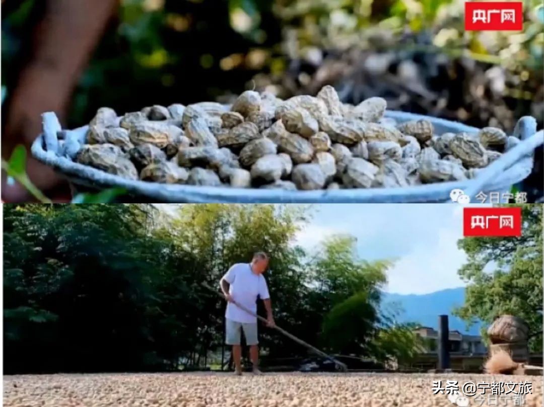 宁都是个好地方完整版,宁都是个好地方是谁说的