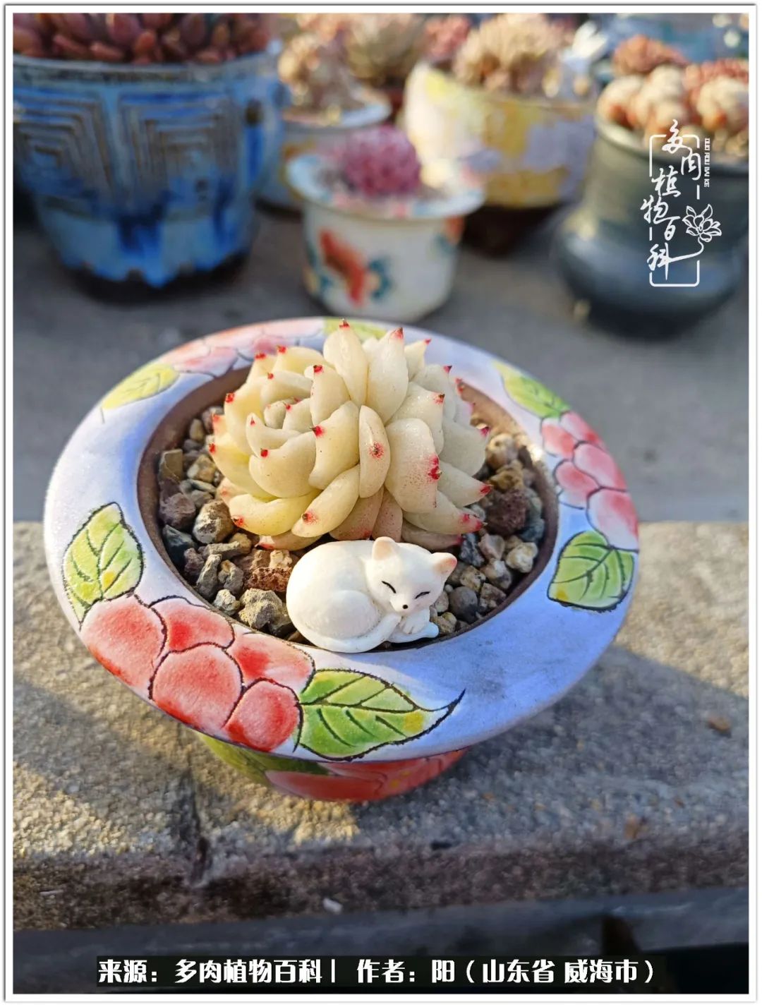 浜洪棿鐑熺伀鑷湁涓囧崈棰滆壊,浜洪棿鐑熺伀鐨嗘槸骞冲嚒棰滆壊