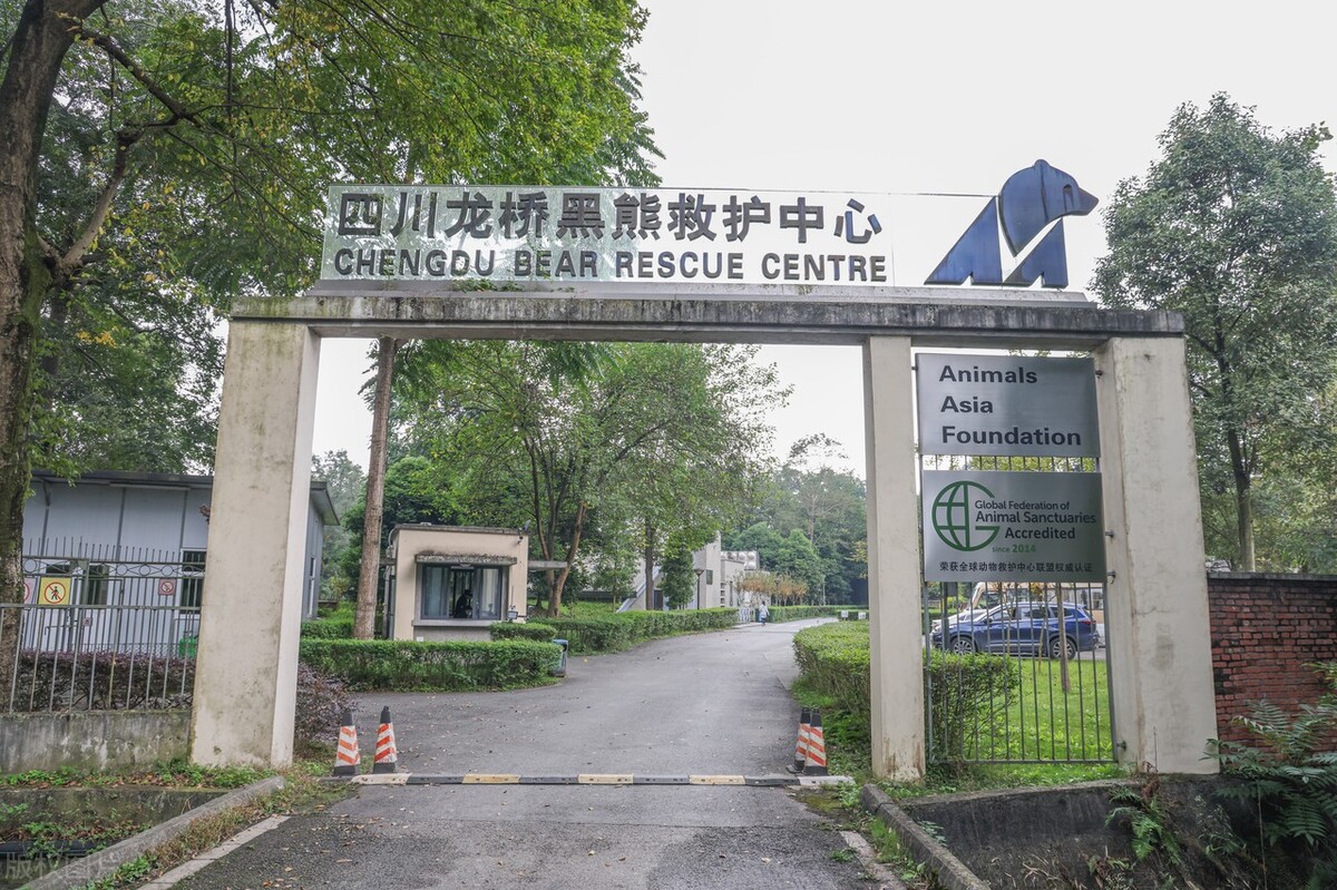 成都市二圈层投资房哪里好,成都二圈层可以买高新吗