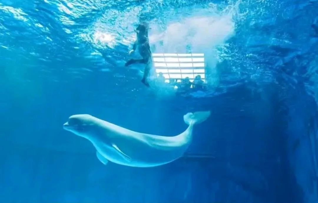 昆明旅行最值得打卡的十大景点,昆明周边湿地公园网红打卡地