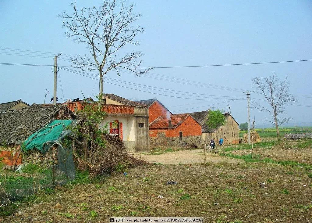 豆角农药中毒,长豆角中毒事件