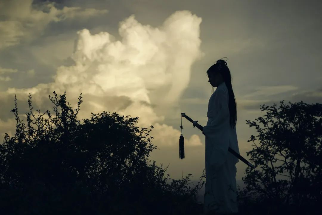 陶渊明最孤高的诗,陶渊明关于人生挫折的诗句