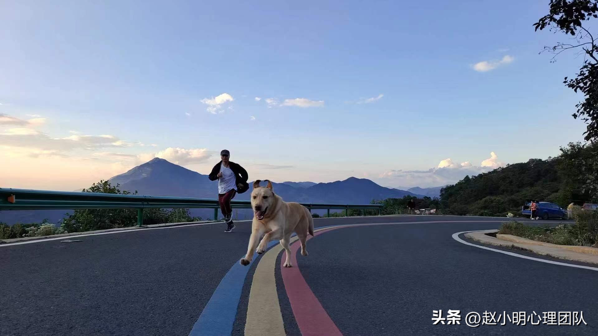 如果头疼颈椎疼胃疼怎么办呀,颈椎下方脊椎疼头疼