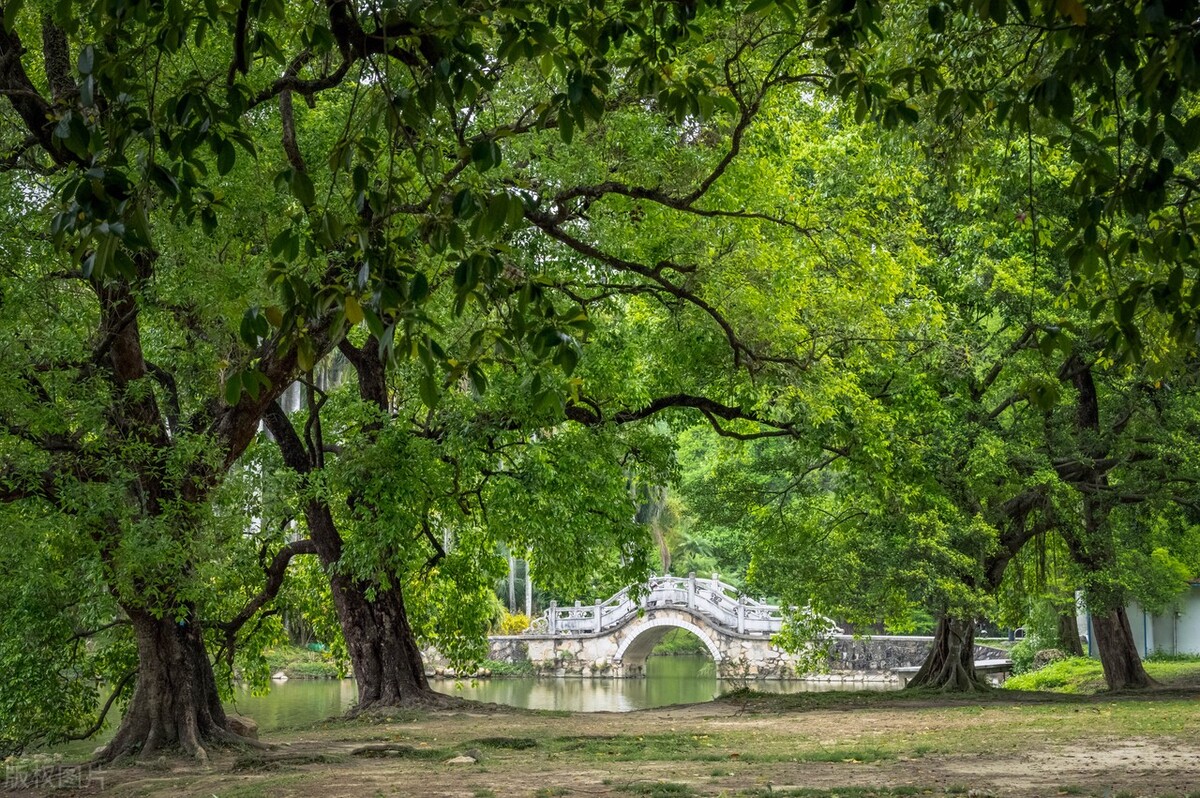 广州旅游攻略景点东山口,广州东山口旅游攻略图