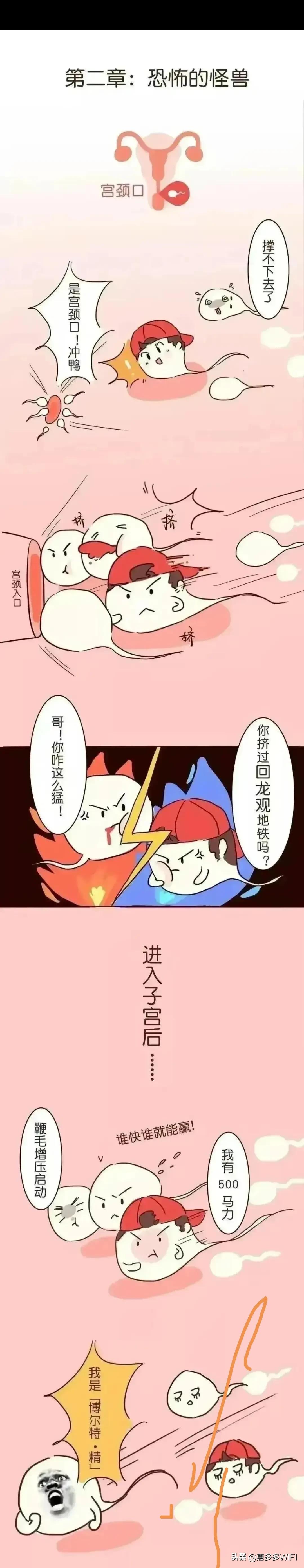 #头条动漫#男人的精子有多励志