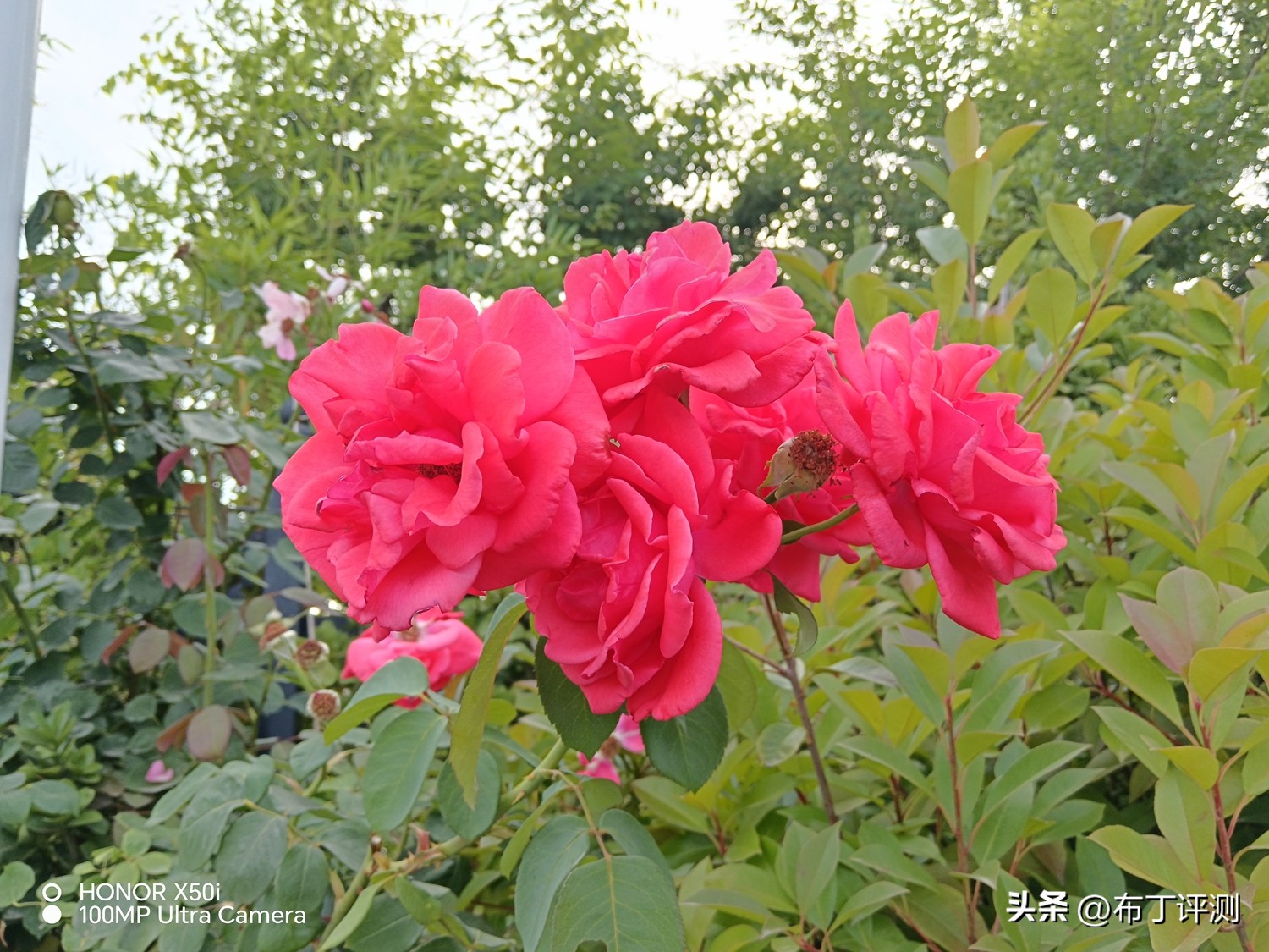 小米note12pro极速版和荣耀x50i,荣耀x50i的一亿像素怎么使用